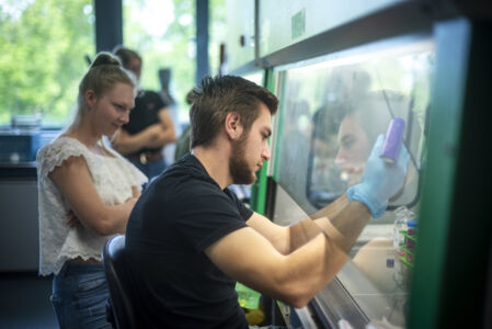 Biochemie - geïntegreerd practicum