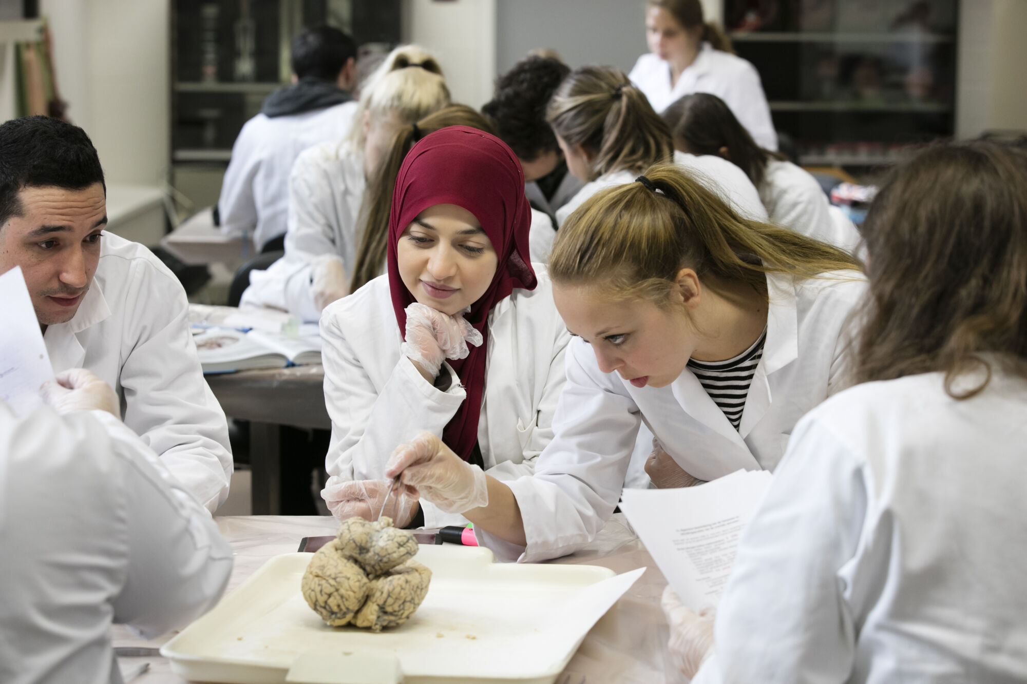 Neuro-practicum - biomedische wetenschappen (20)