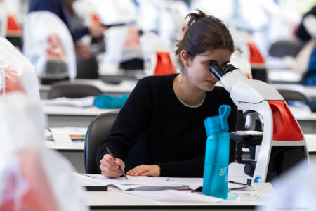 histologie-bachelorBMW-15.jpg