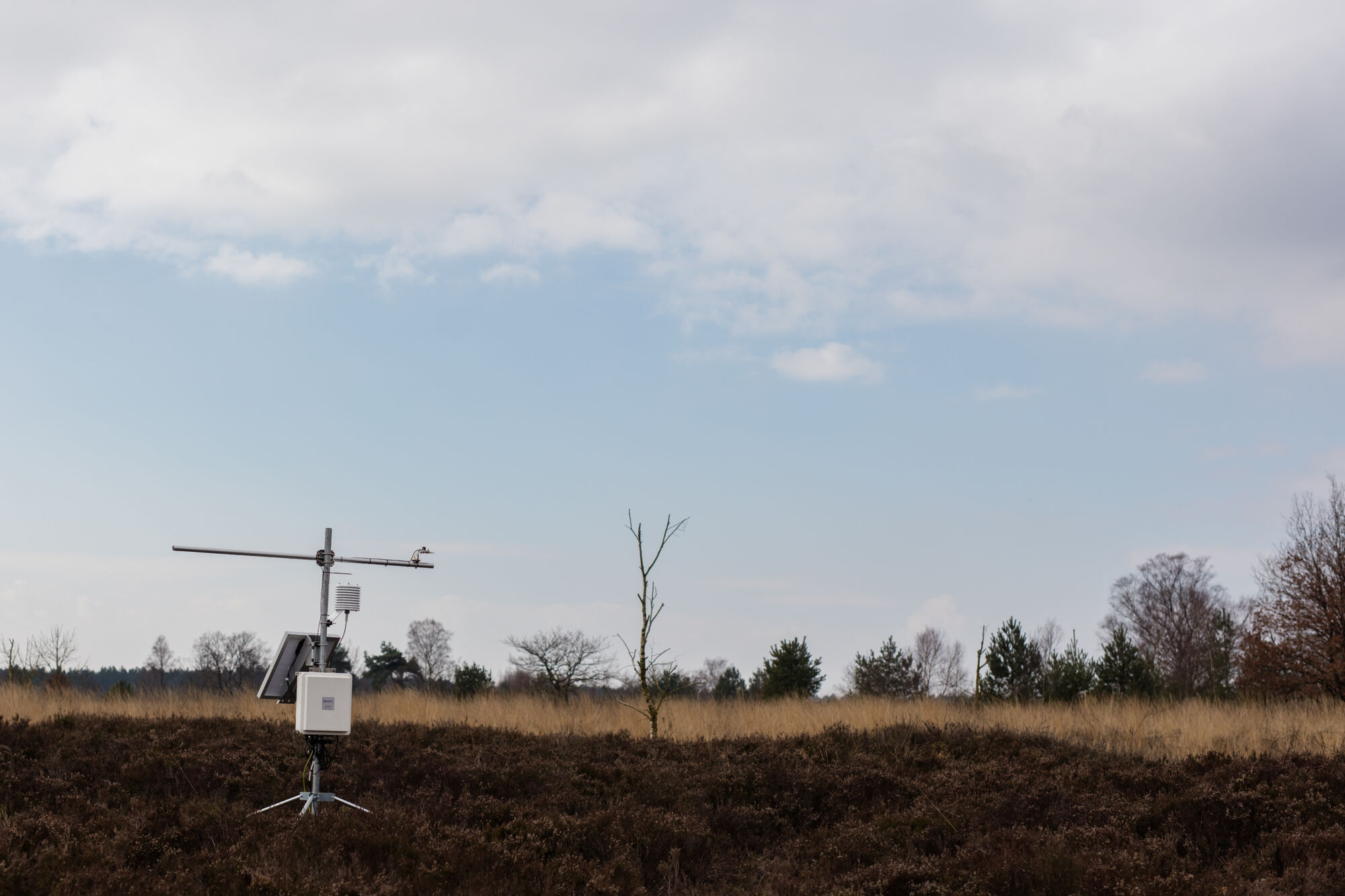 Integrated Carbon Observation System (14).jpg
