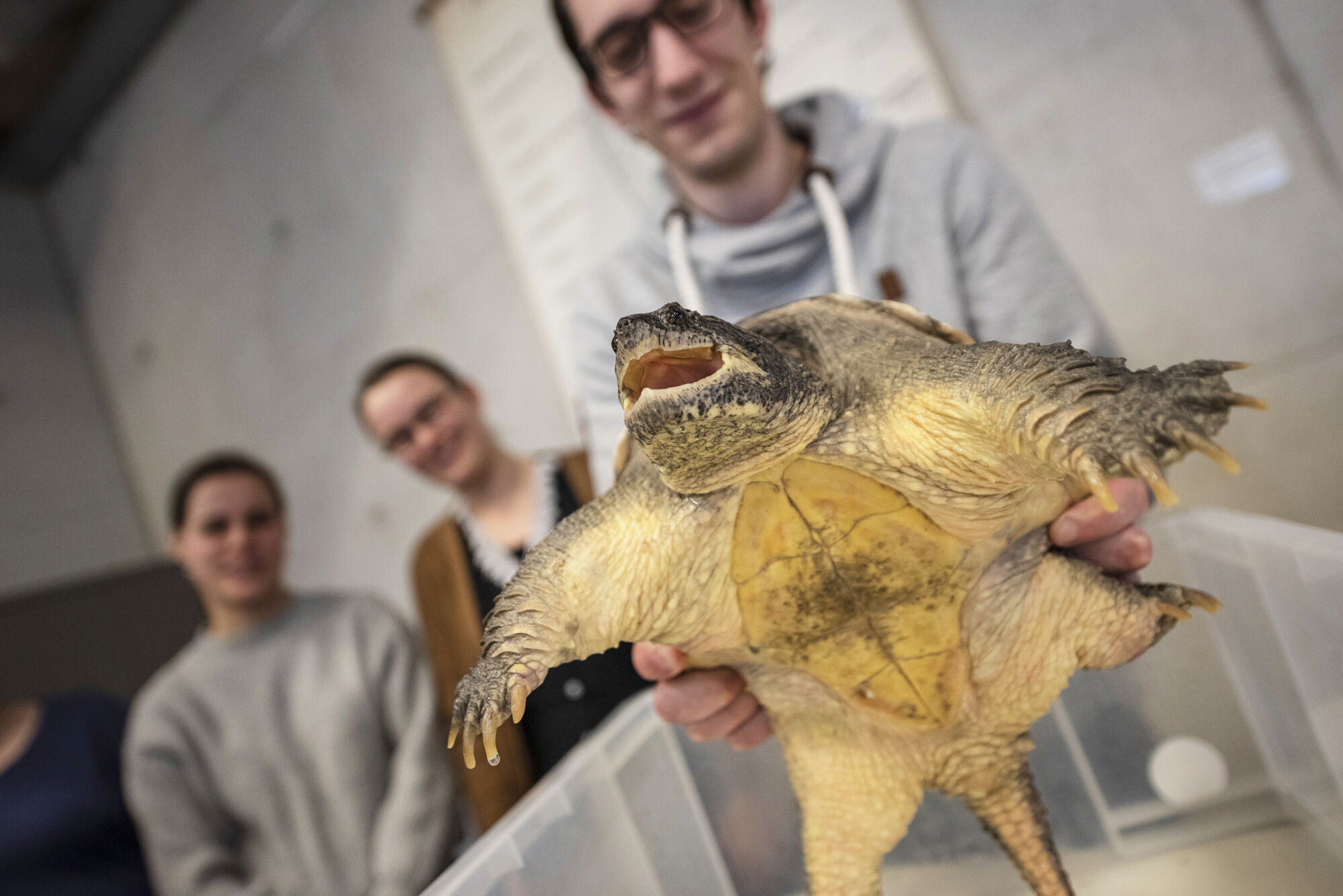 Biologie - amfibieën en reptielen (17).jpg