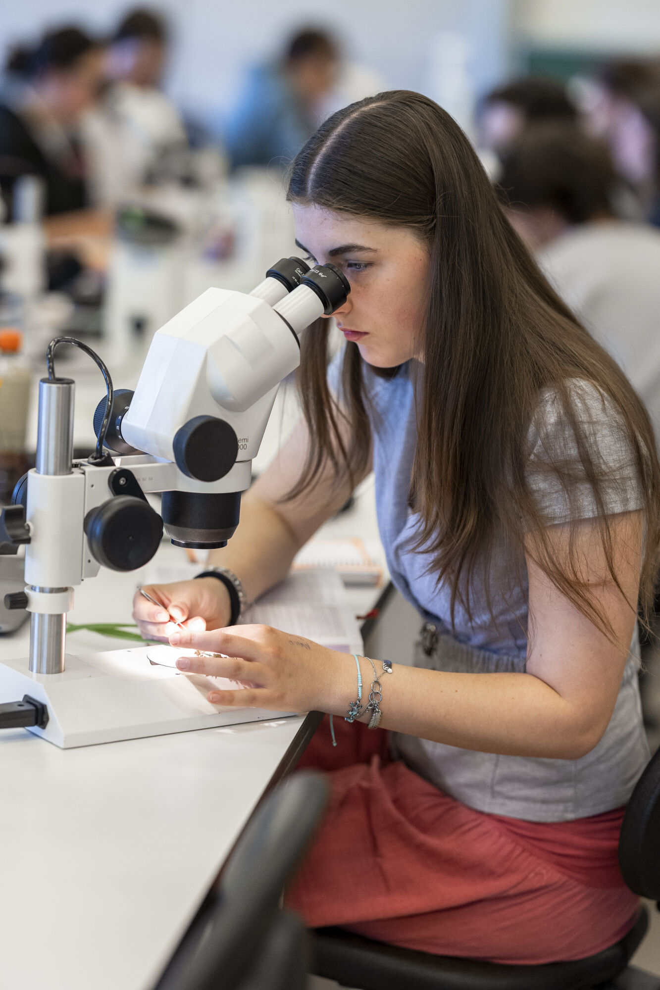 Biologiepracticum bachelor  
