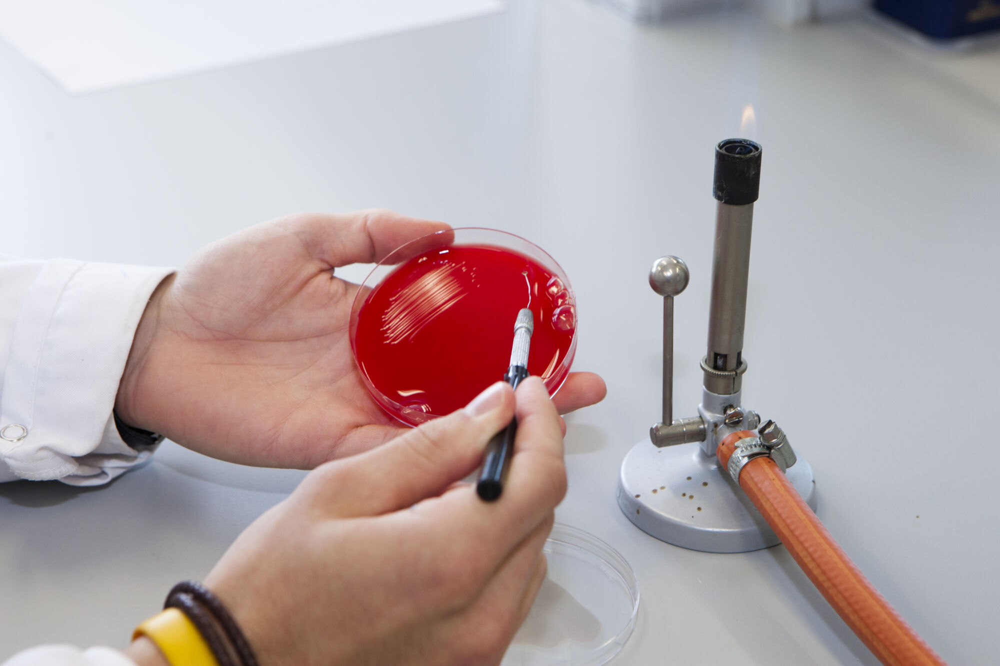 Laboratory of Medical Microbiology (53).jpg