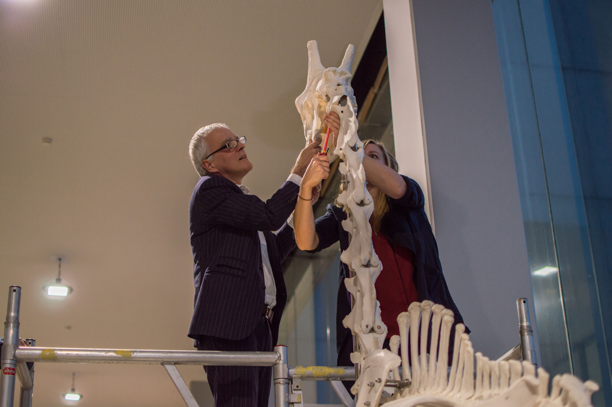 Installatie giraf Dana (19).jpg