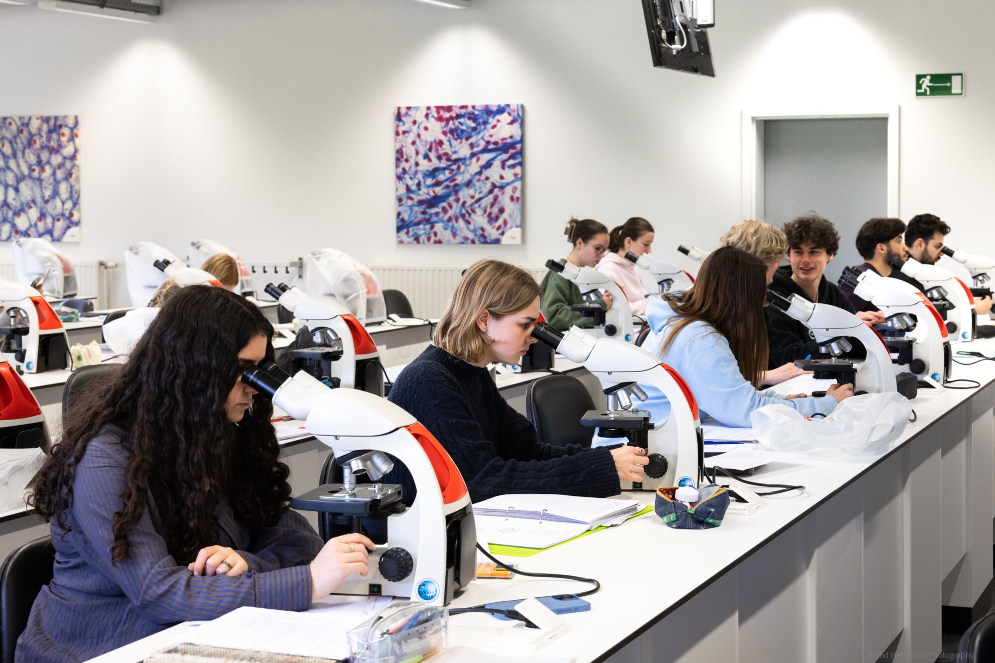 histologie-bachelorBMW-31.jpg