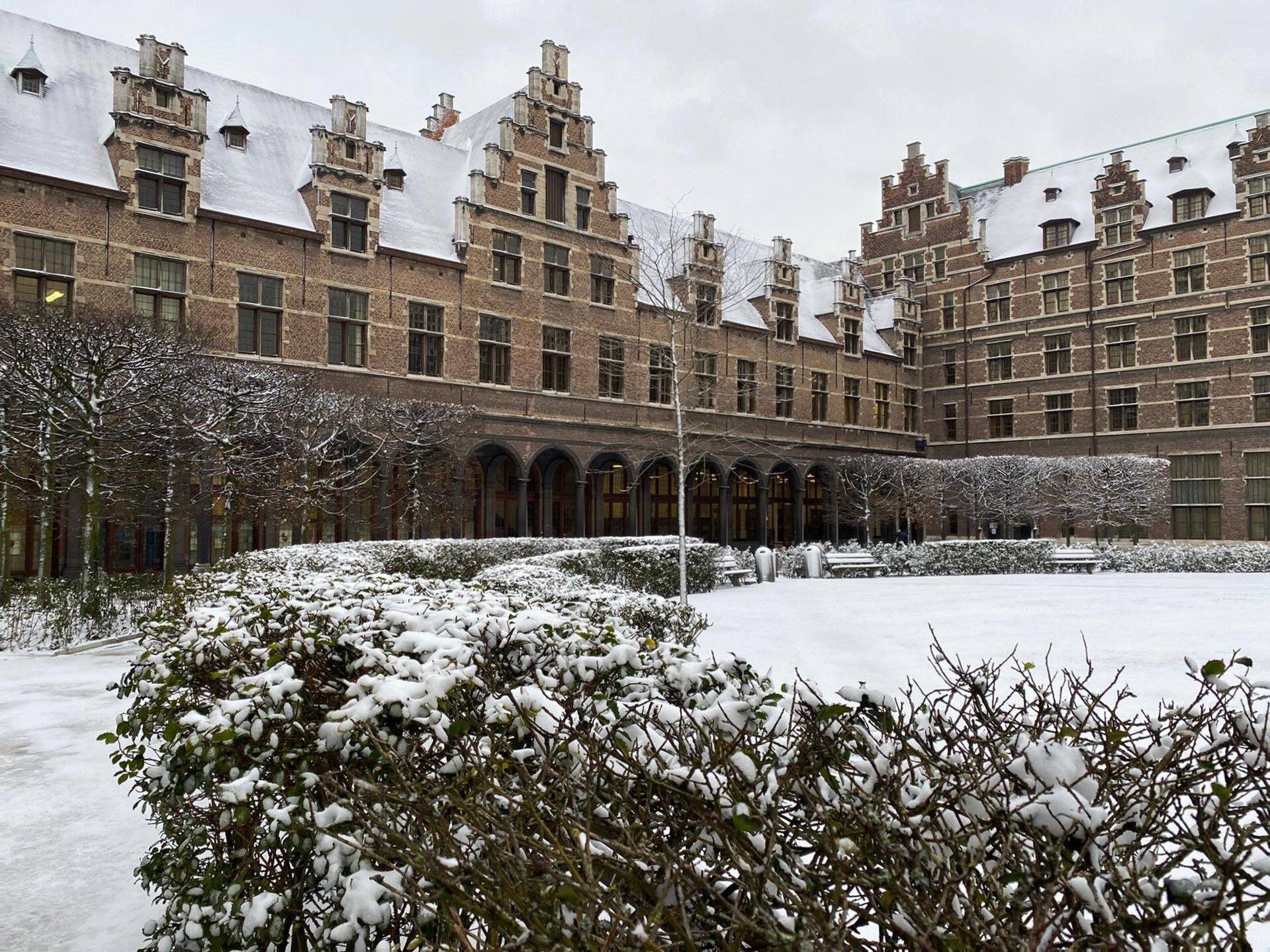 Sneeuwbeelden februari 2021 (03).jpg