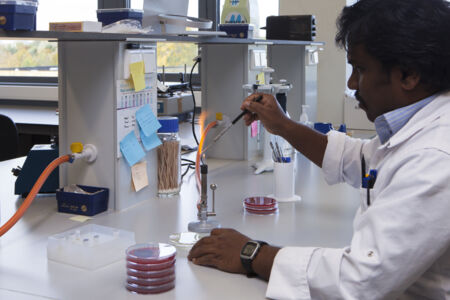 Laboratory of Medical Microbiology (5).jpg