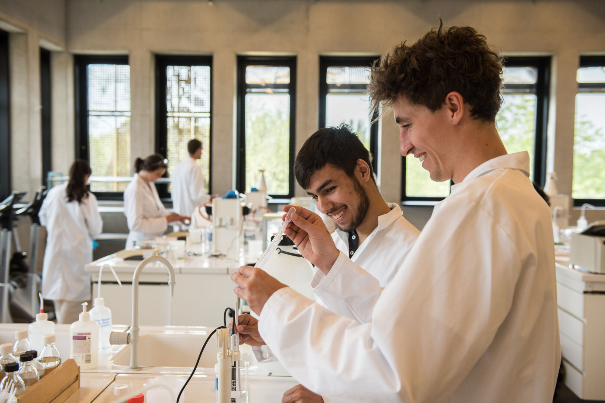 Biologie - vorm en functie planten (33).jpg