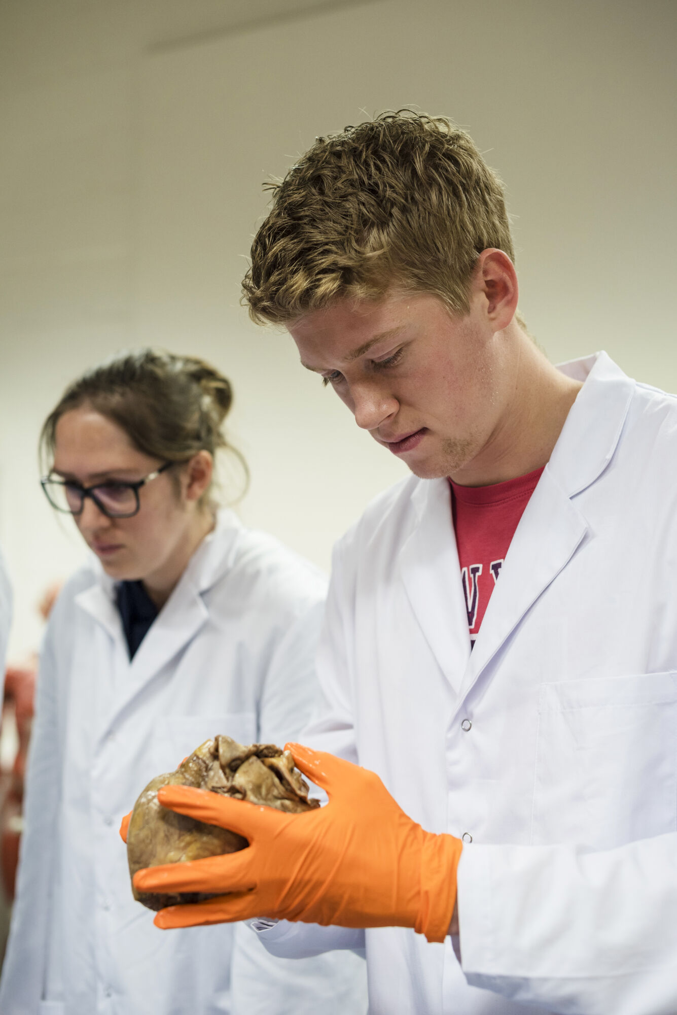 Anatomiepracticum geneeskunde (51).jpg