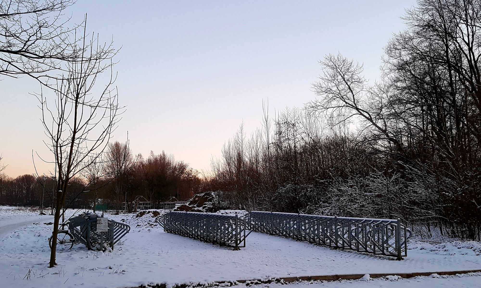 Sneeuwbeelden februari 2021 (15).jpg