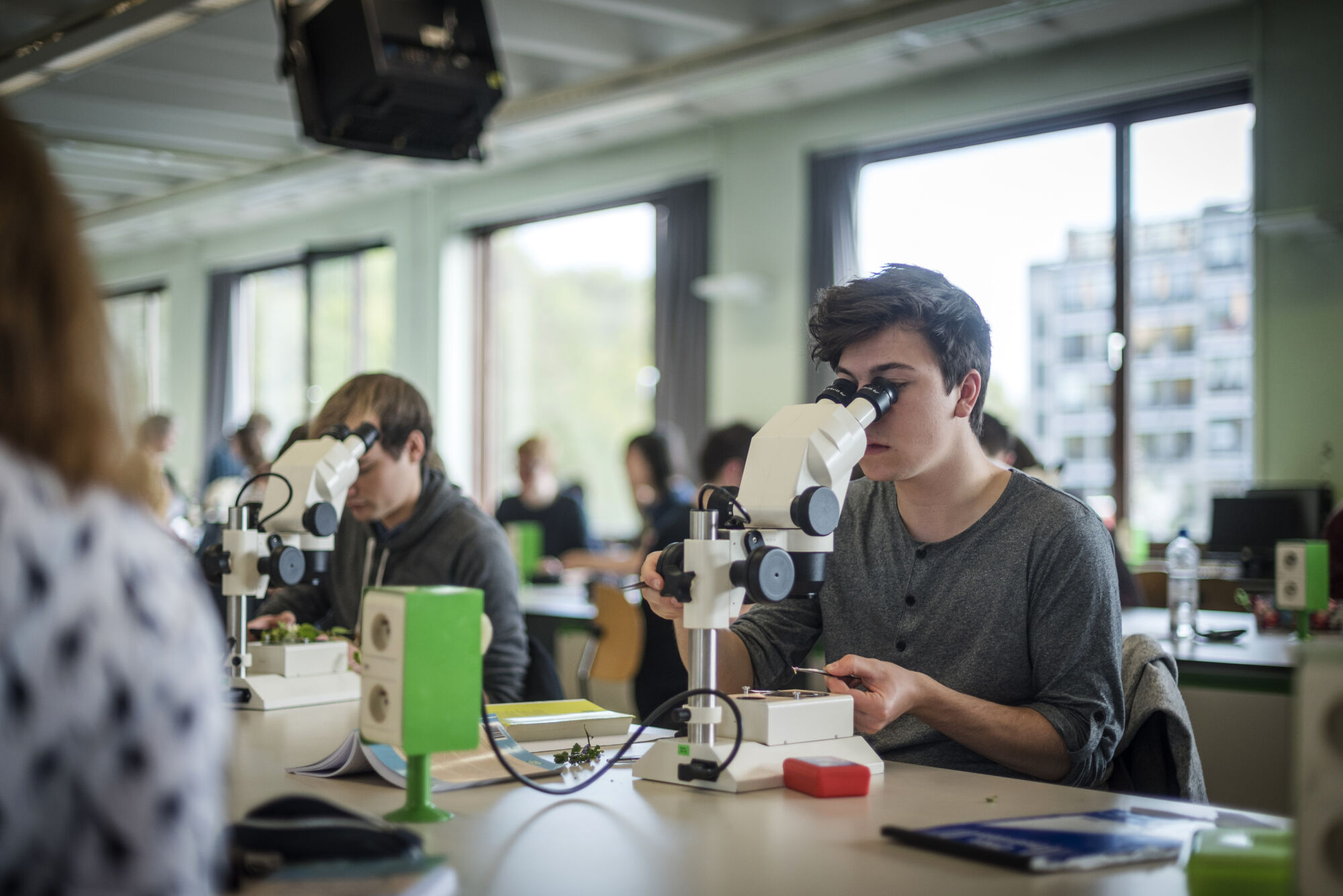 Biologie - Plantenkunde 2016 (17).jpg