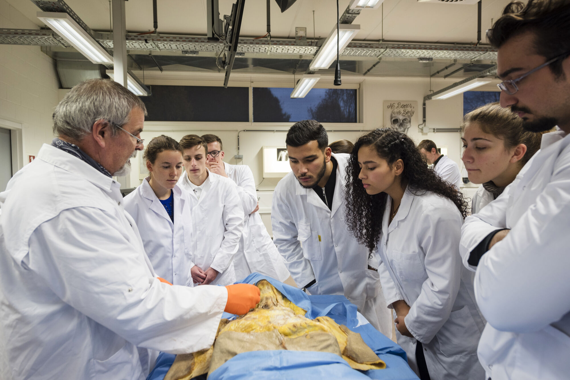 Anatomiepracticum geneeskunde (9).jpg