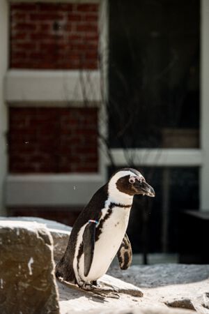 ZOO Antwerpen vanuituwkot (26).jpg