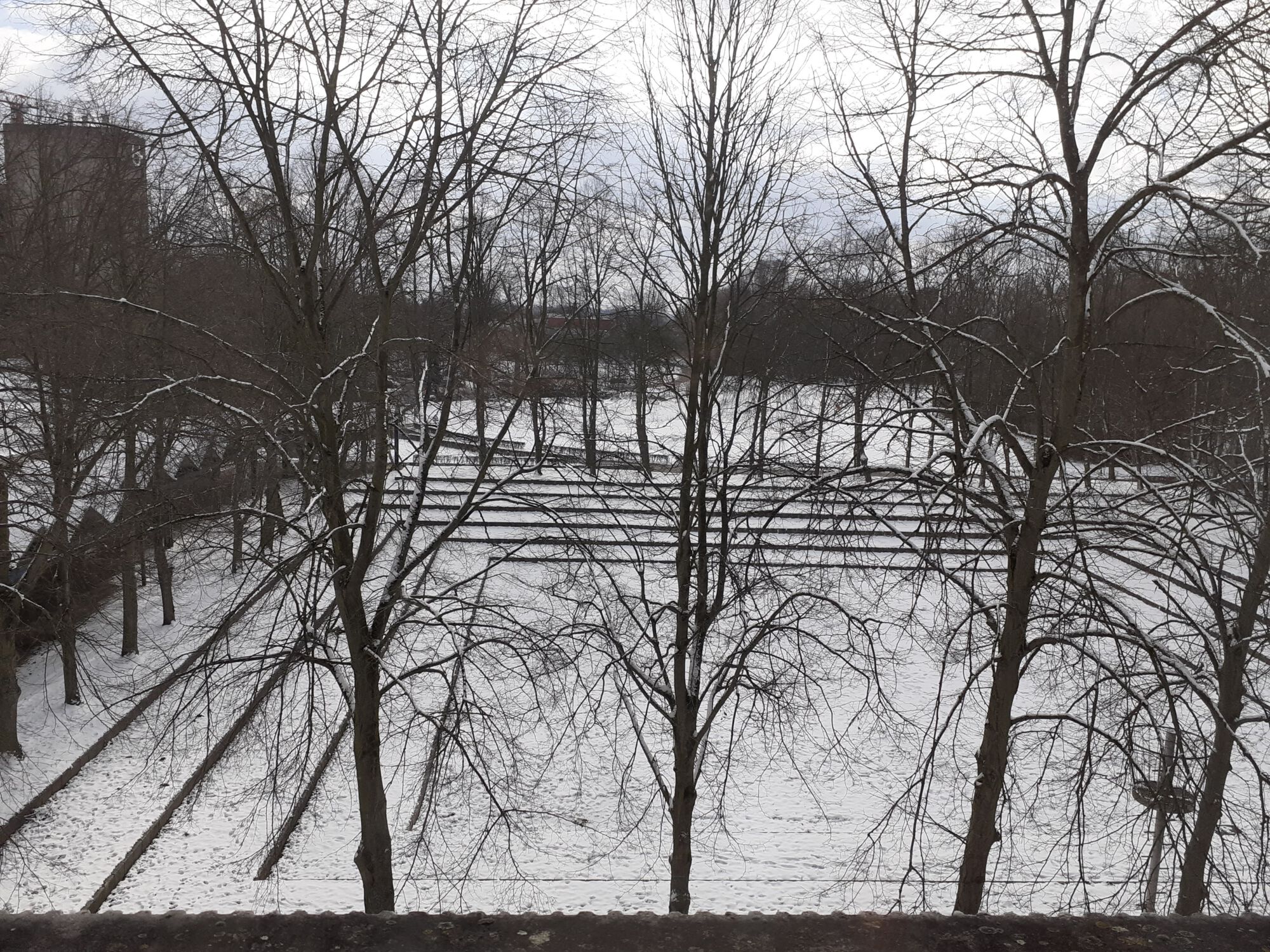 Sneeuwbeelden februari 2021 (07).jpg