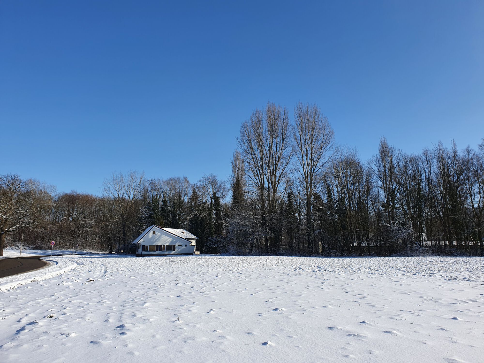 Sneeuwbeelden februari 2021 (24).jpg