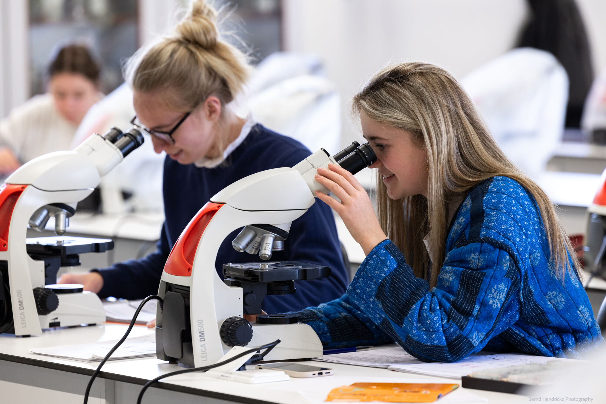 histologie-bachelorBMW-26.jpg