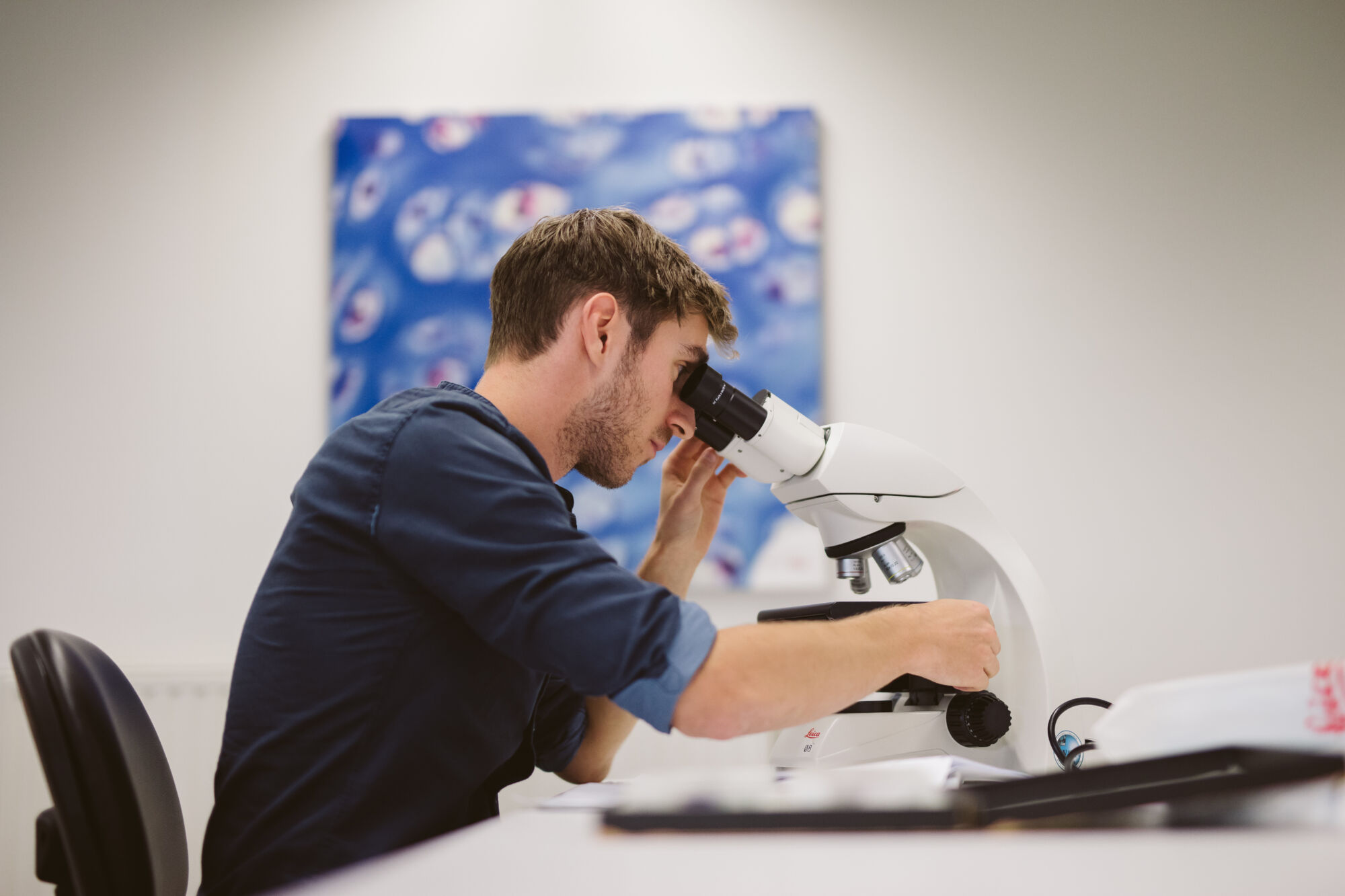 Long en nier practicum biomedische wetenschappen (17).jpg