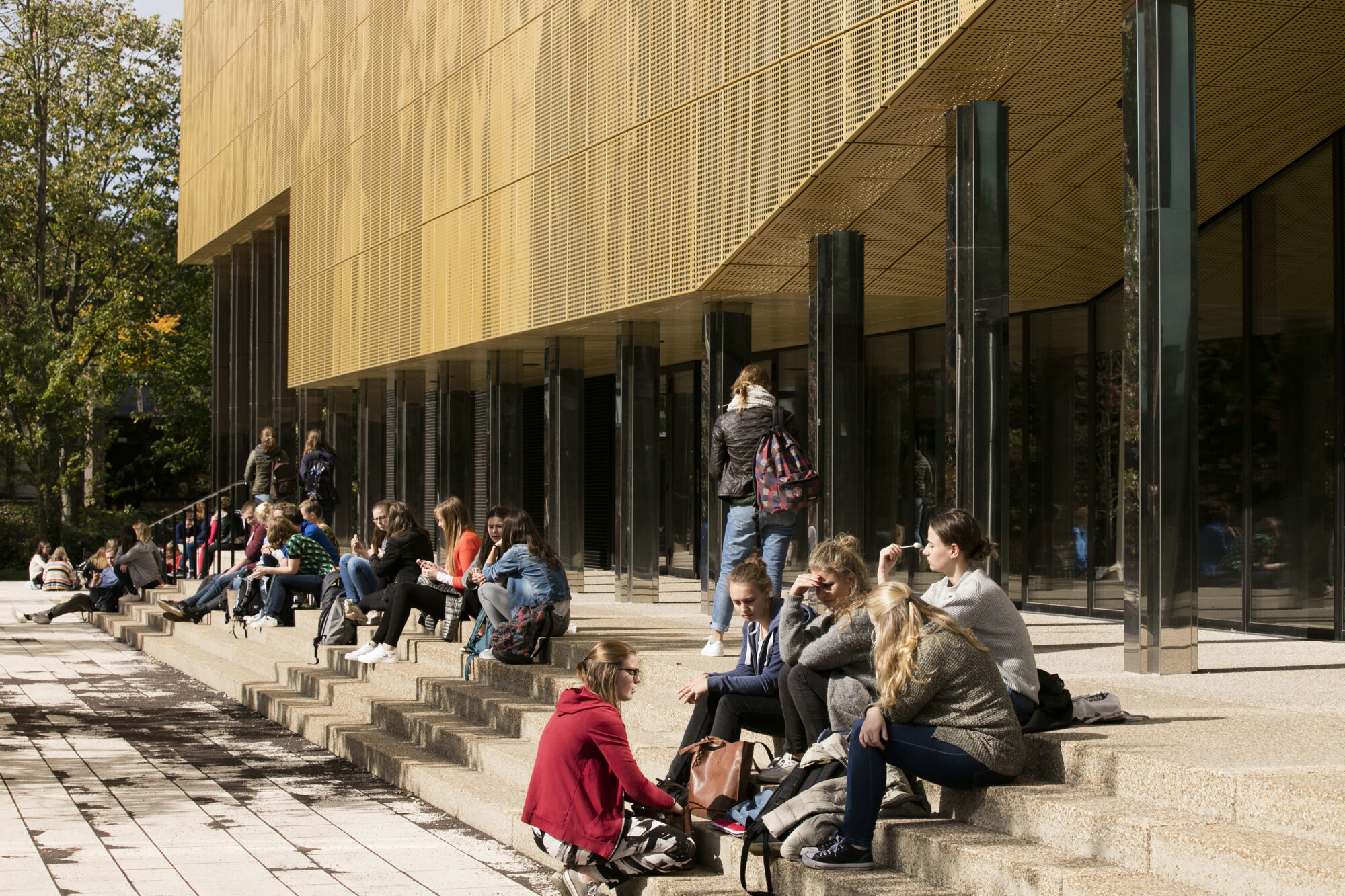 Campus Drie Eiken herfst (11)