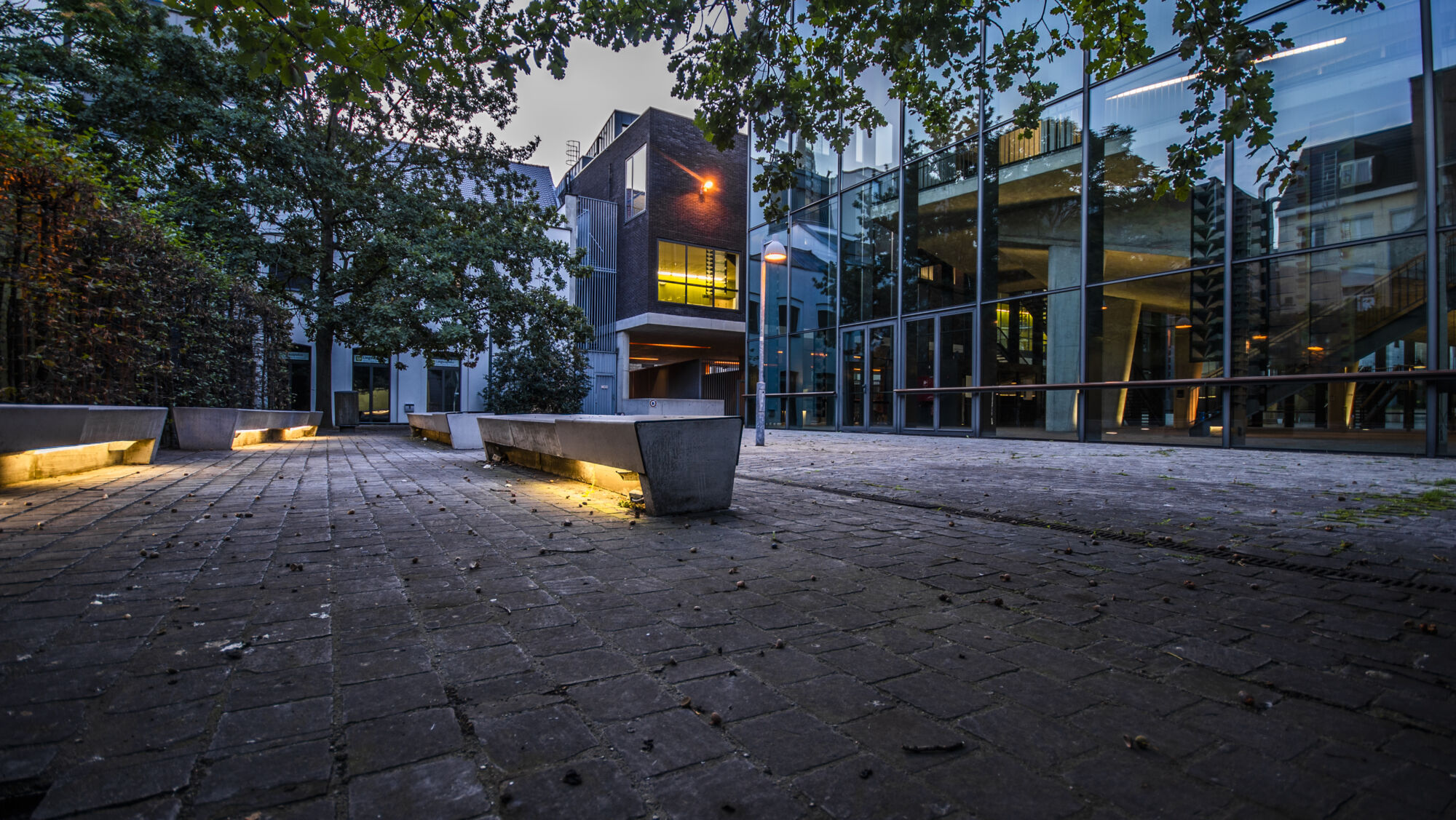 UAntwerpen (den Antwerpenaar) (2).jpg