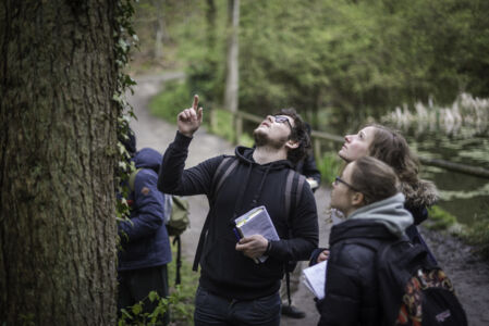 Hallerbos biologie (44).jpg