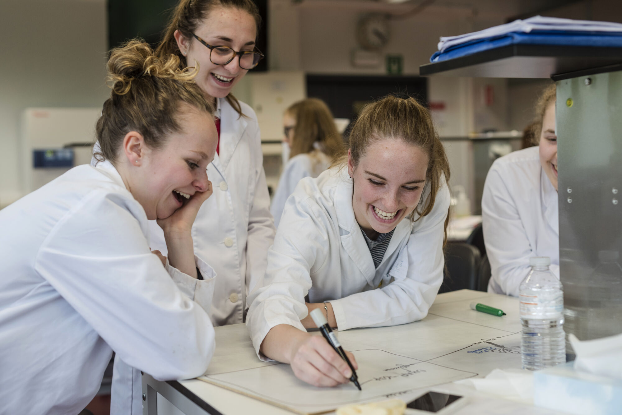 Metabolisme practicum diergeneeskunde (06).jpg
