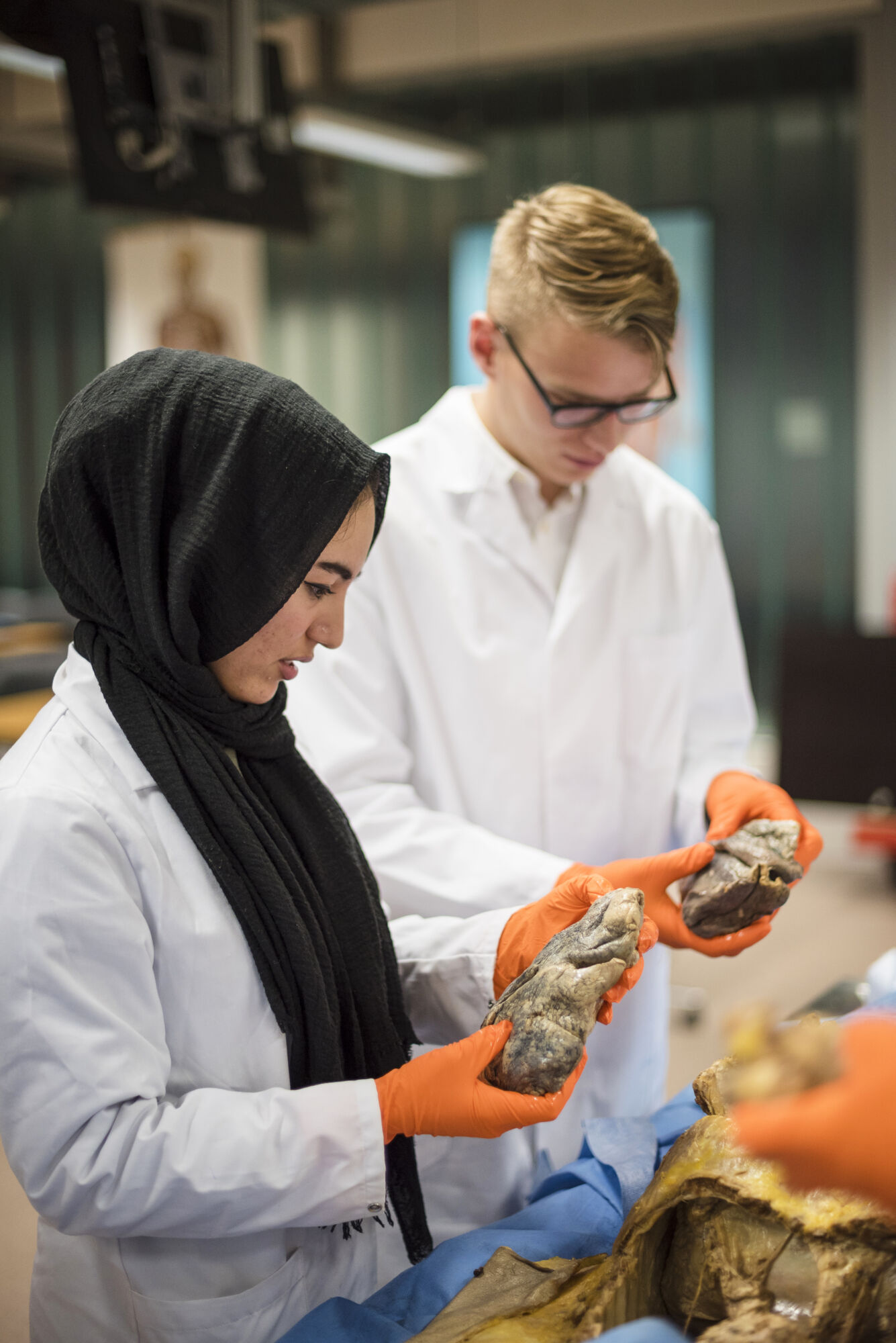 Anatomiepracticum geneeskunde (50).jpg