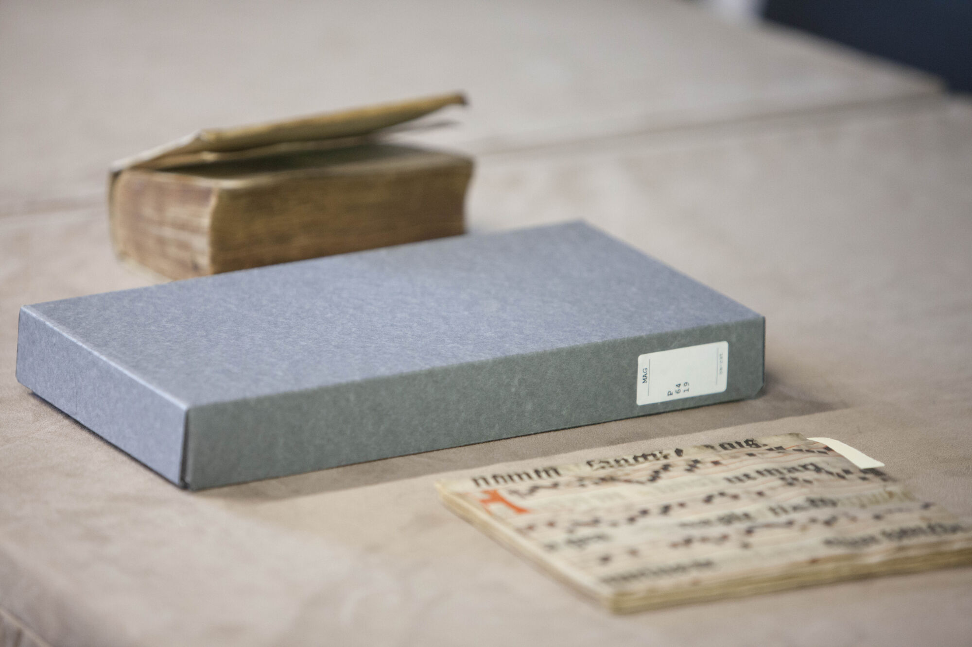 Schenking Middelnederlands fragment 2019 (8).jpg
