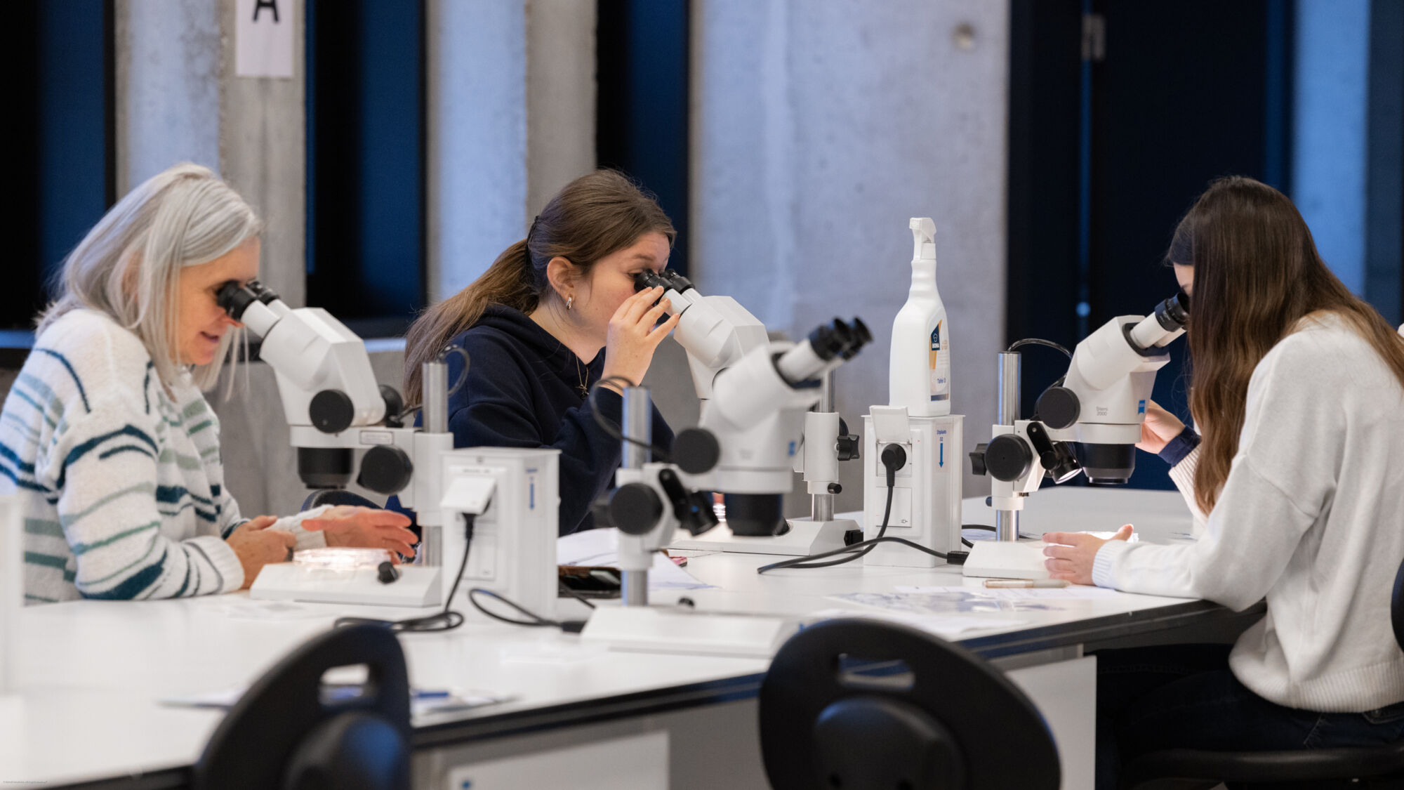 Campus Club 2025 - buitencampussen