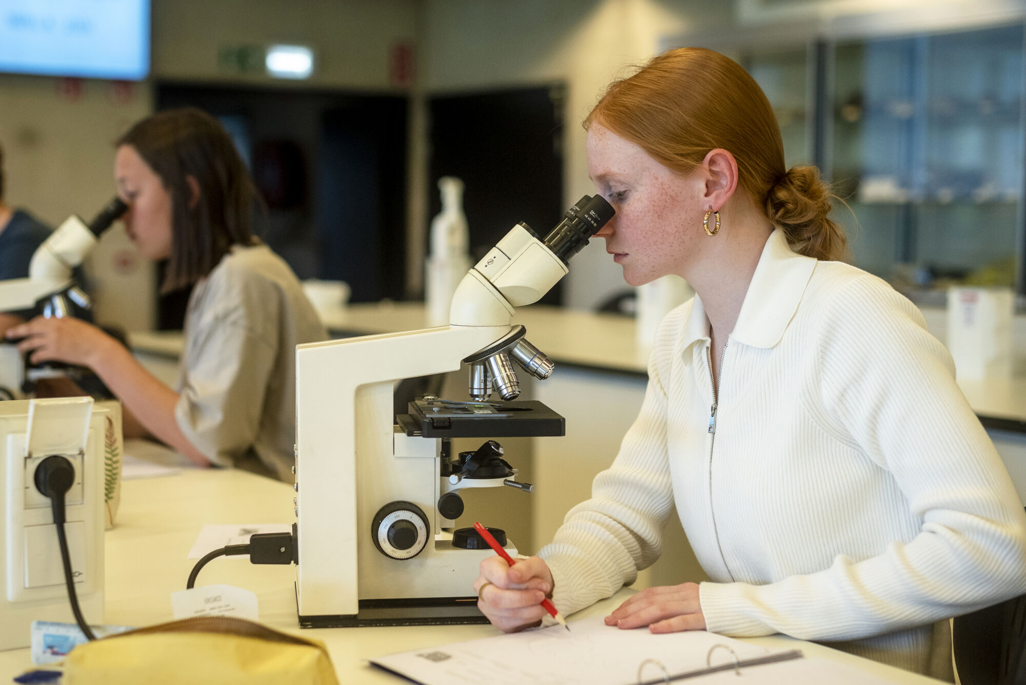 Biologie - Vorm en functie - Microscopie (26).jpg