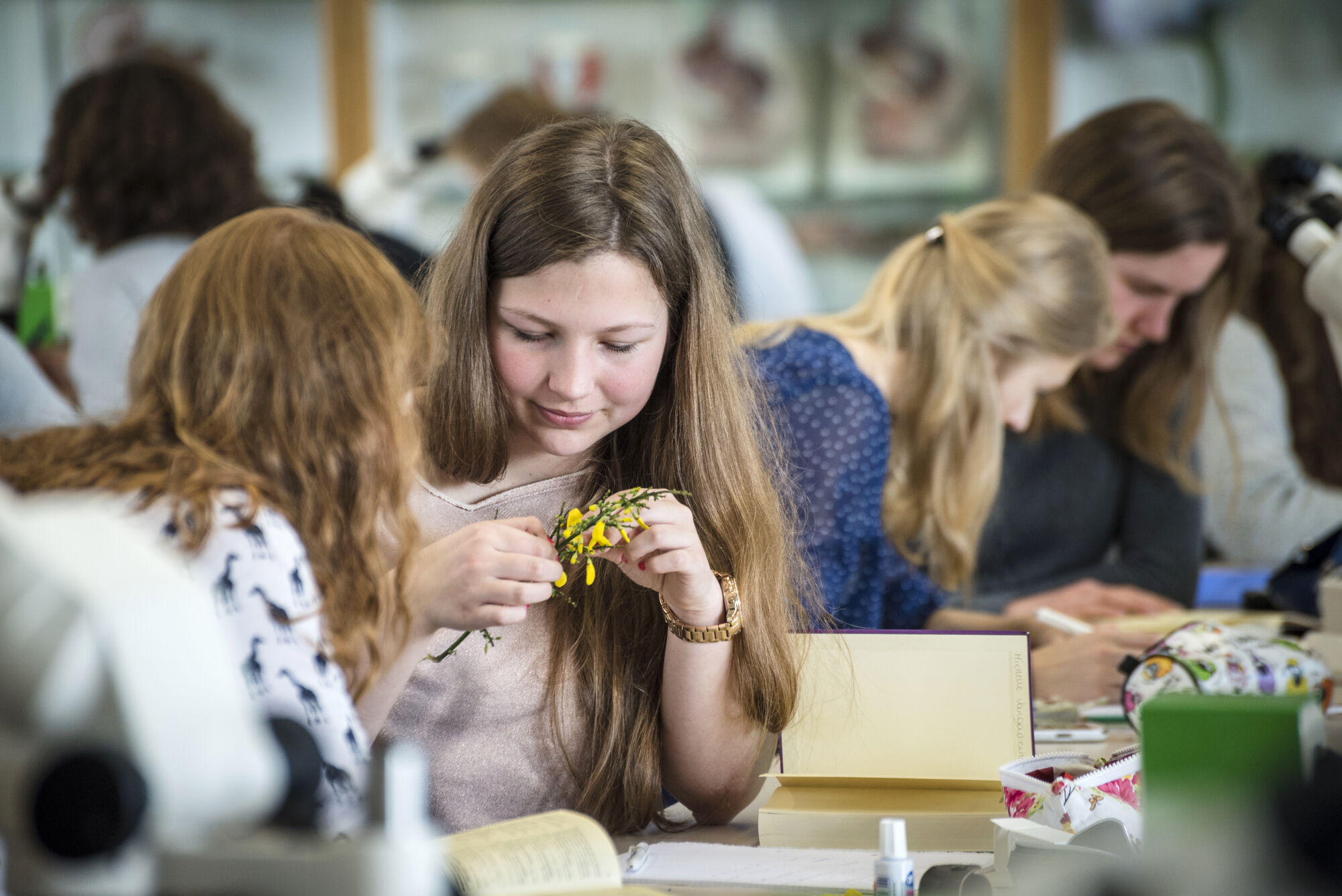 Biologie - Plantenkunde 2016 (18).jpg