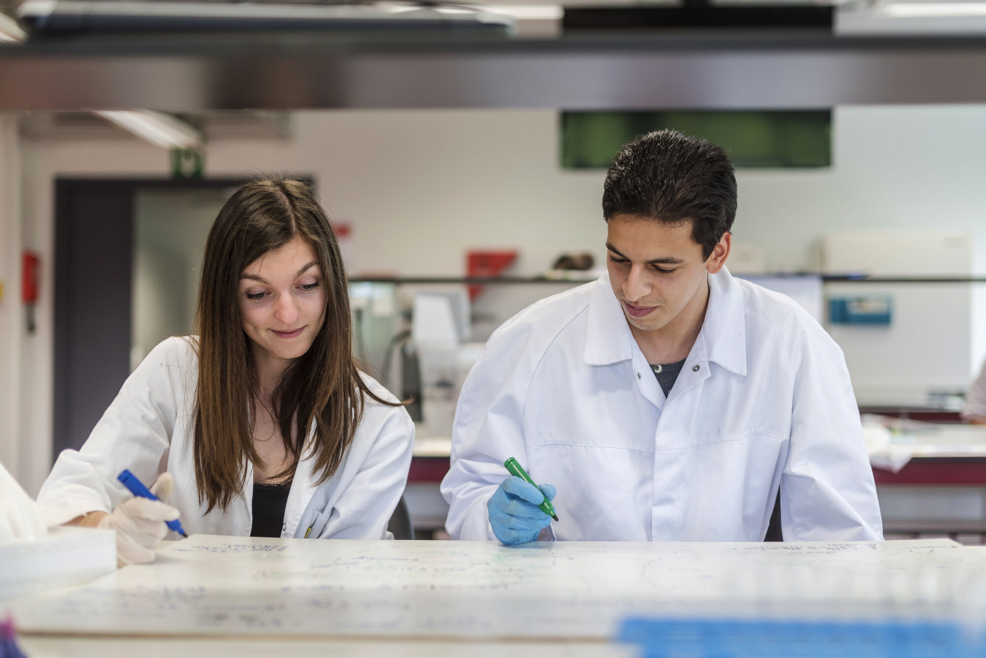 Metabolisme practicum diergeneeskunde (25).jpg
