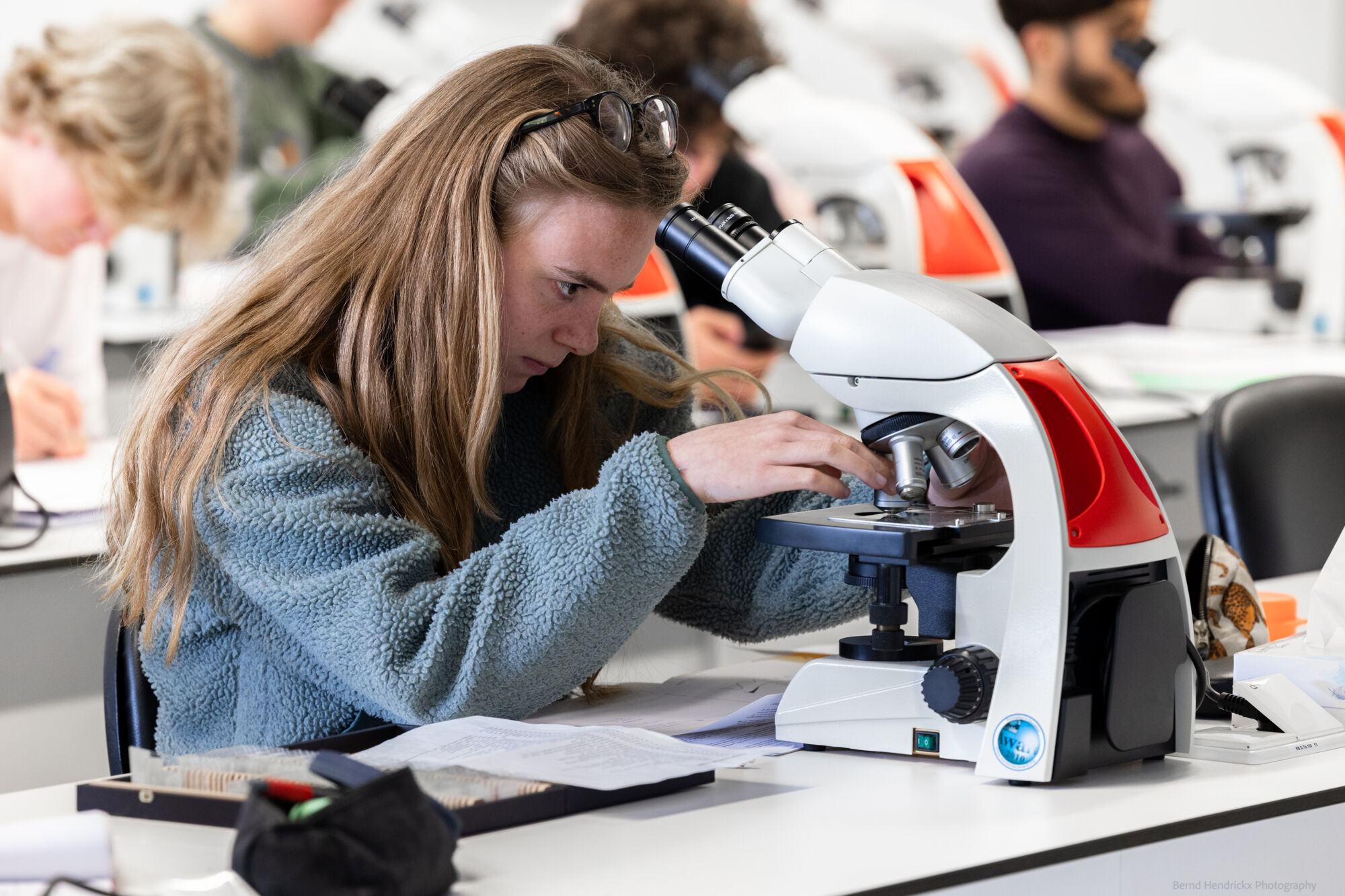 histologie-bachelorBMW-19.jpg