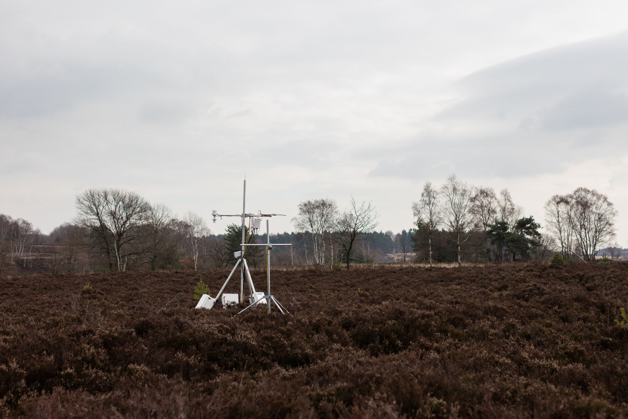 Integrated Carbon Observation System (13).jpg