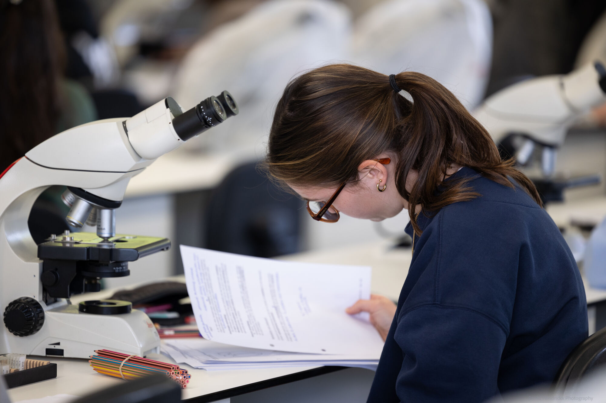 histologie-bachelorBMW-66.jpg