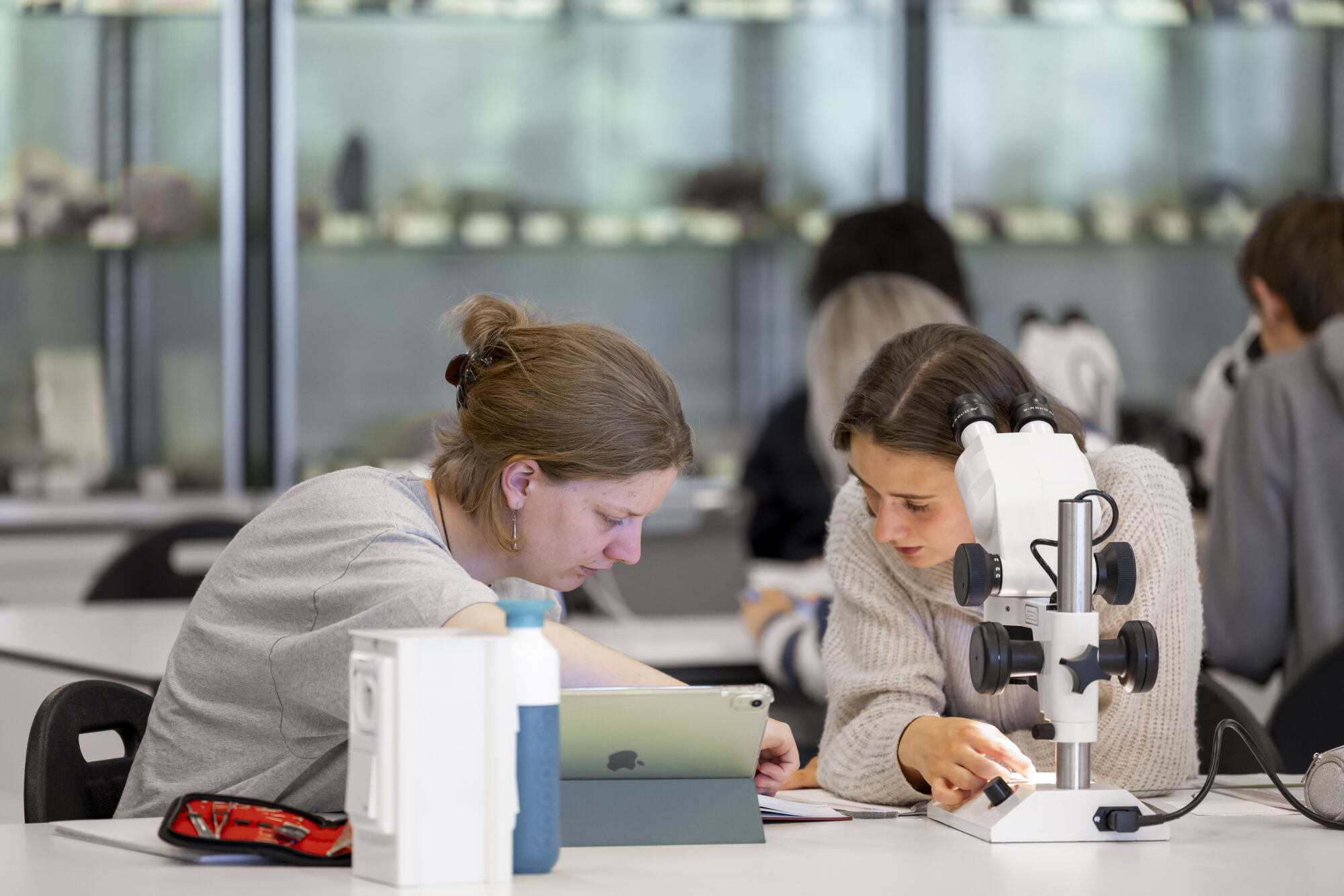 Biologiepracticum bachelor  