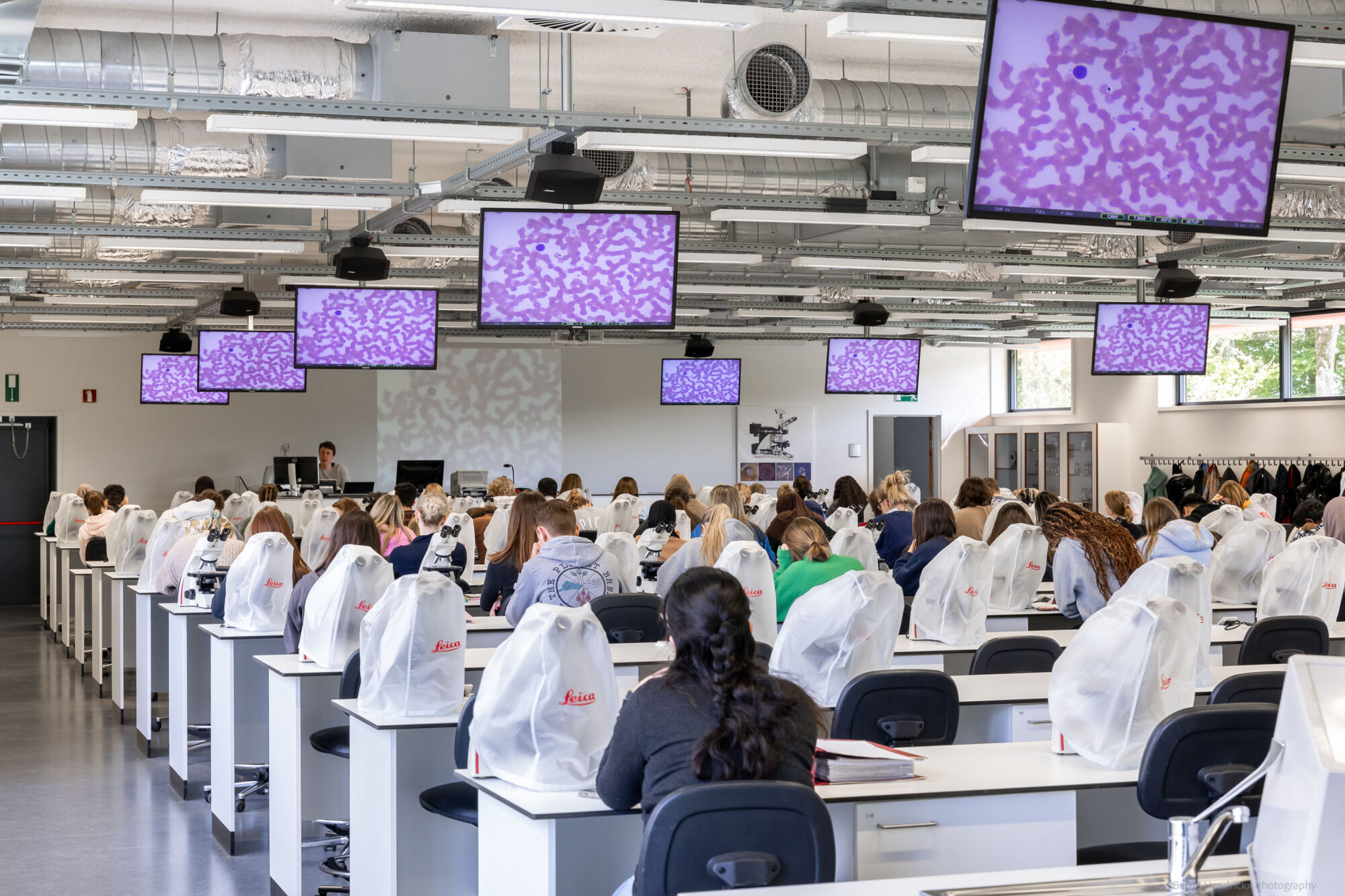histologie-bachelorBMW-2.jpg