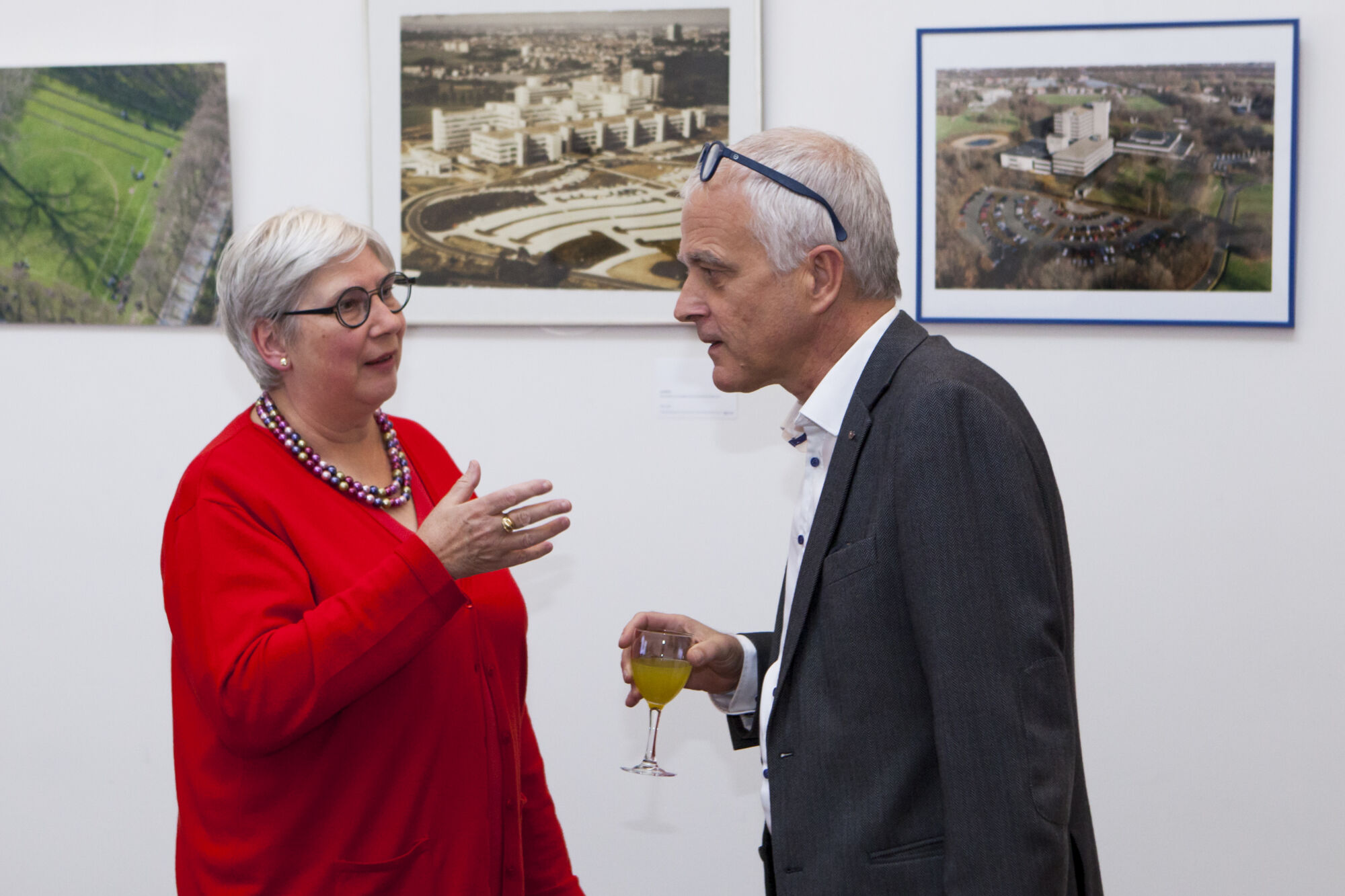 Het Collectief Geheugen van de Universiteit Antwerpen (opening expo) (25).jpg