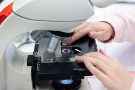 histologie-bachelorBMW-33.jpg