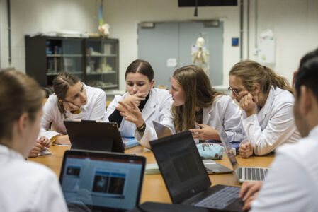 Anatomiepracticum geneeskunde (5).jpg