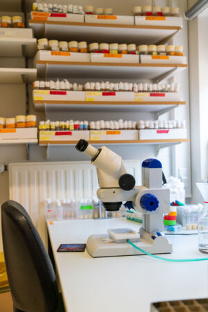 VIB Center for Molecular Neurology (30).jpg