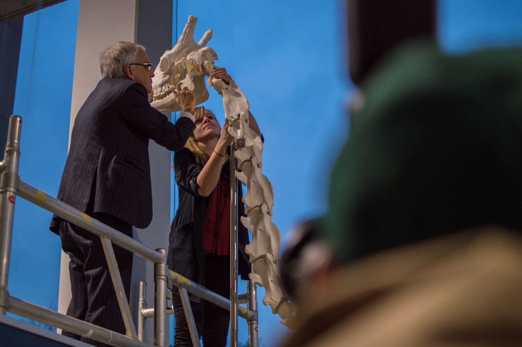 Installatie giraf Dana (15).jpg
