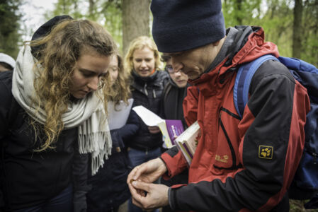 Hallerbos biologie (56).jpg