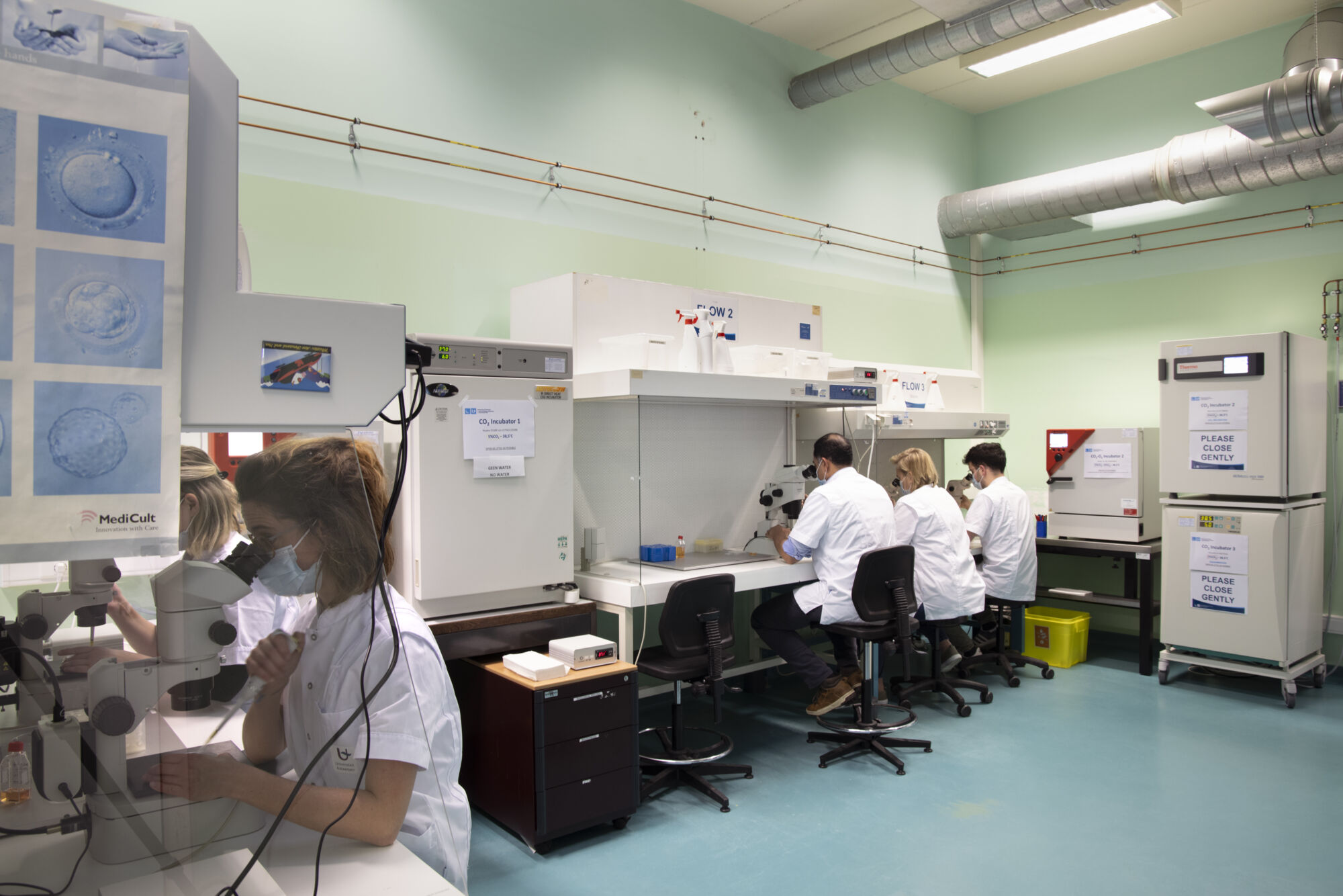 Veterinaire Fysiologie (20).jpg