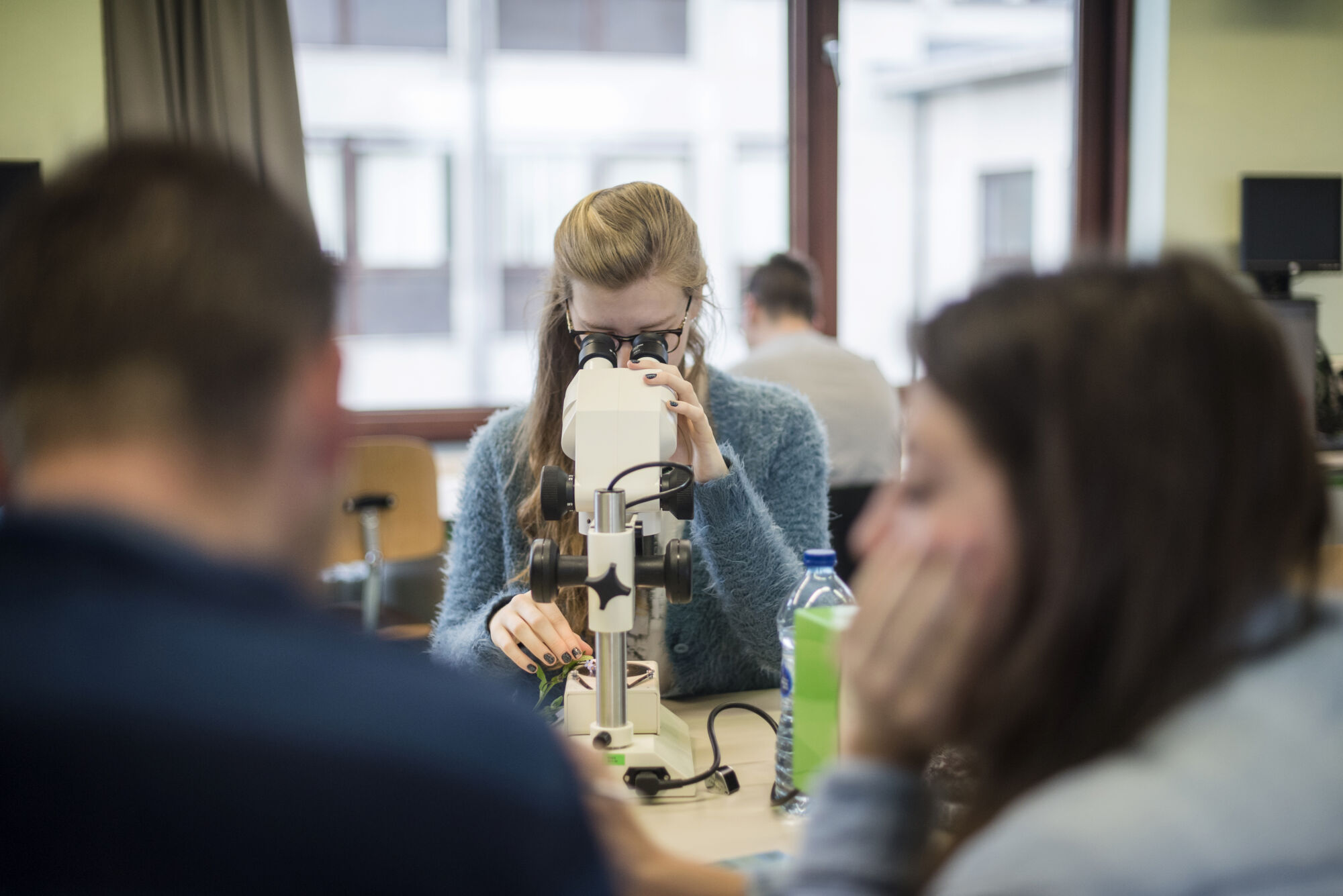 Biologie - Plantenkunde 2016 (3).jpg