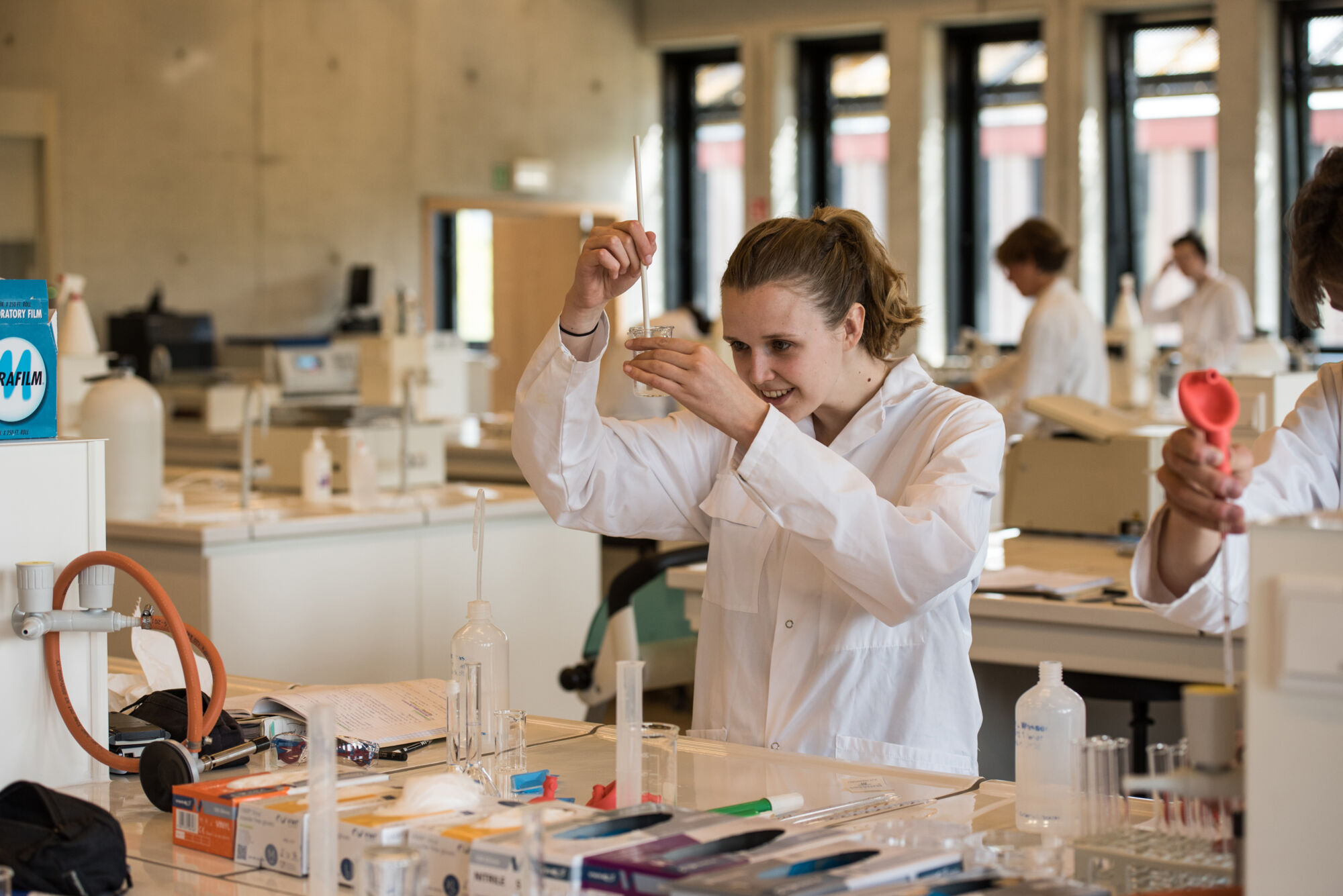 Biologie - vorm en functie planten (4).jpg