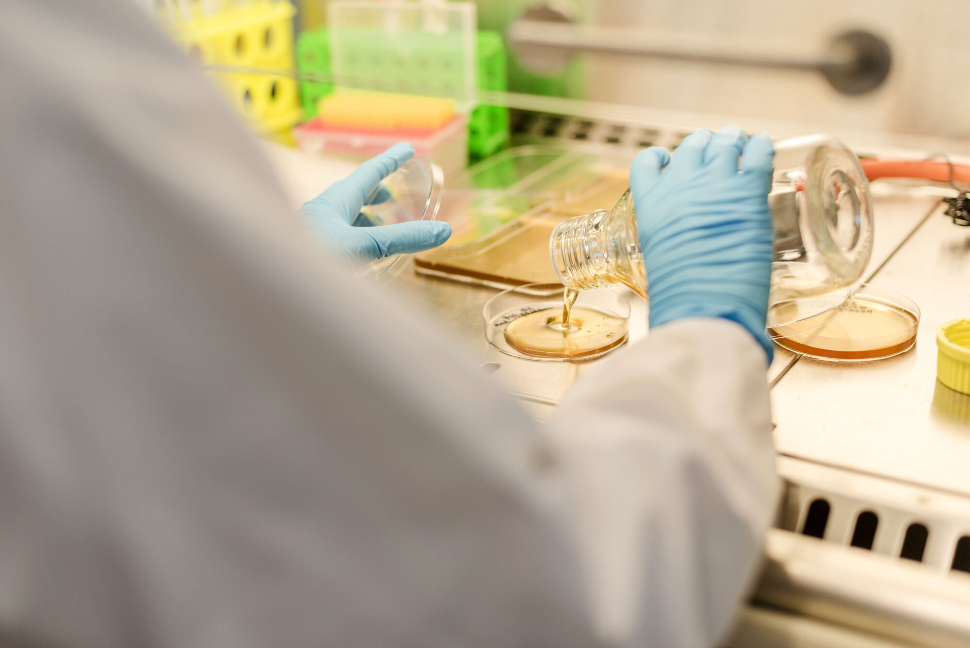 Practicum bio-ingenieurswetenschappen (26).jpg