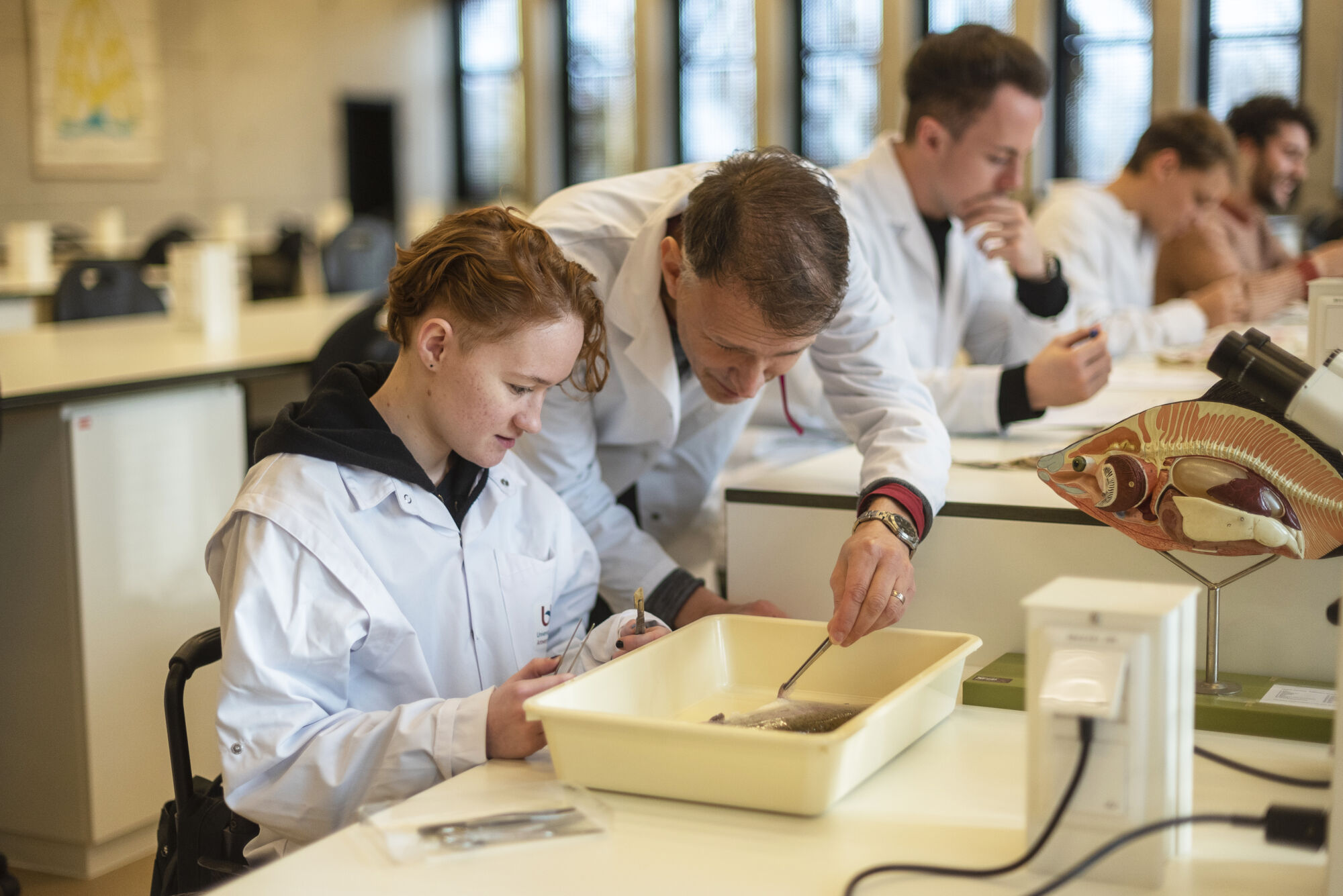 Studeren met een functiebeperking (33).jpg
