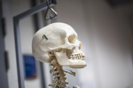 Anatomiepracticum geneeskunde (7).jpg