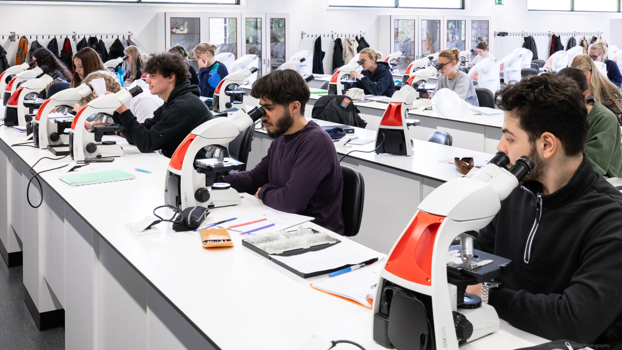 histologie-bachelorBMW-28.jpg