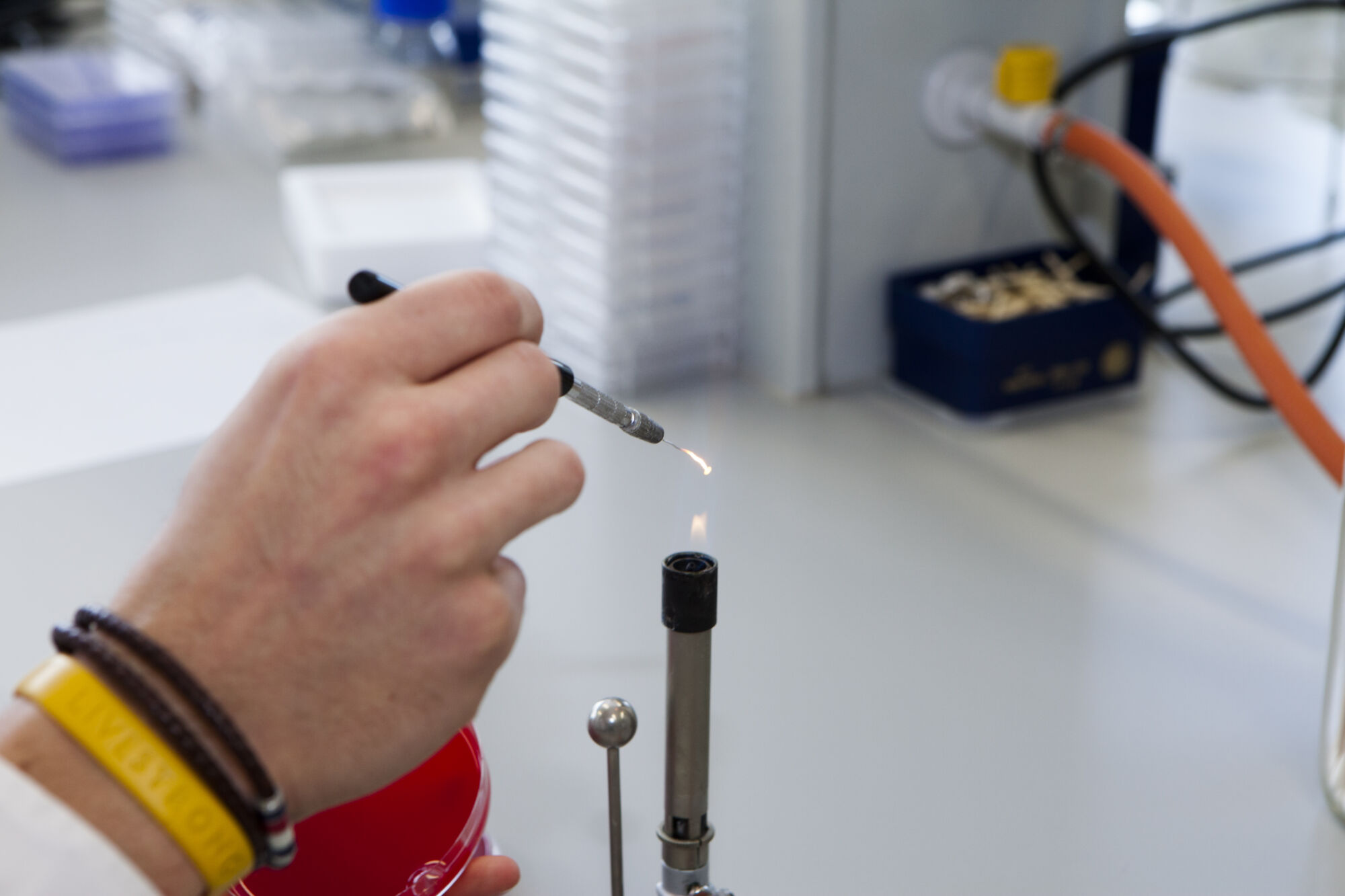 Laboratory of Medical Microbiology (54).jpg